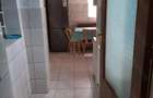 Inchiriere apart 2 camere vila - 10