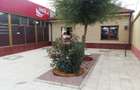 Spatiu 142 mp central, deschidere la DN2A, M Kogalniceanu, jud Constanta - 5