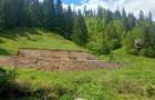 Teren de 3100 mp, în Muntele Băișorii - 2