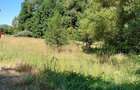 Teren intravilan de 5012 mp, în Marga - 4