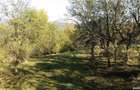 Teren intravilan Cerasu Valea Borului Teren 2.280 mp, Deschidere 30m, Utilita?i pe proprietate - 5