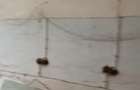 Apartament 3 camere nemodernizat parter - 6