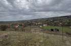 Teren Construcții de 1500 mp, în Iris - 2