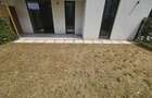Apartament cu 2 camere decomandat în Băneasa - 5