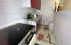 Apartament cu 2 camere decomandat în Herăstrău - 12