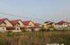 Teren intravilan 582mp,Putul Olteni Fortului,Clinceni - 2