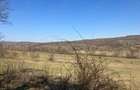 Vand casa sat Tamasesti! - 2