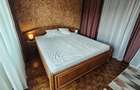 APARTAMENT 2 CAMERE, ULTRACENTRAL VIZAVI DE TEATRUL SICA ALEXANDRESCU - 2