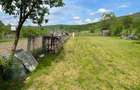Casa de vanzare Orman + Teren 10 000 mp (1ha=100 ar) - 1