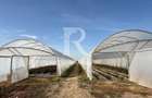 Teren intravilan agricol | 7029 mp | Satu Nou | Bihor