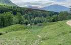Teren de 6000 mp, în Dălghiu - 2