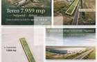 TEREN INTRAVILAN 7.959 MP DN79 NOJORID, BIHOR - 3