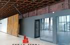 Spațiu comercial, de 780 mp, în Calea București - 3