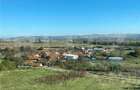 Teren Construcții intravilan de 7600 mp, în Periferie - 2