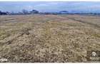 Teren Intravilan 2.300 mp- Sanpetru - 5