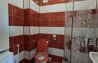 Apartament cu 2 camere semidecomandat în Bucureștii Noi - 9