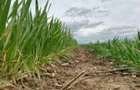 1,85 ha teren agricol la Brebeni judetul Olt - 1