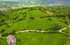 Teren agricol de 11000 mp, în Bran - 5