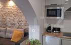 Apartament 2 camere de inchiriat, 40 mp, zona Centrul Istoric - 11