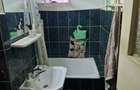 Apartament cu 3 camere decomandat în Astra - 7