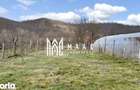 Casa 3 camere I Curte 814mp I Pivni?a I Garaj I Axente Sever - 7