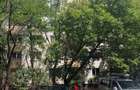 Apartament cu 3 camere decomandat în Dristor - 1