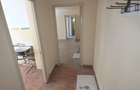 Apartament 2 Camere Brazda Lui Novac Parter - 2