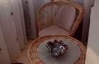 Apartament cu 2 camere decomandat în Nord - 5
