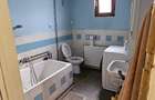 Casa individuala, teren 537mp, Gara de Est-Avram Imbroane-Lorena - 9