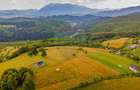 Teren Construcții de 11600 mp, în Poiana Mărului - 6