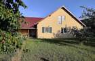 Casă cu 4 camere cu Teren 1106 Mp în Vinga - 5