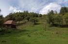Teren de 3000 mp, în Ponor - 1