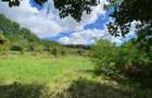 Locuin?a de vis cu poten?ial agroturistic, sat Carbunari - 9