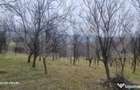 TEREN INTRAVILAN VEDERE PANORAMICA La 2 km de Manastirea CRA - 12