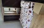 Apartament 2 camere Mihai Bravu Splaiul Unirii - 9
