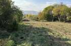 Teren de 1521 mp, în Băiculești - 4