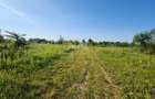 Teren Construcții extravilan de 2000 mp, în Băneasa - 3