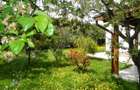 vand ap 4 camere in vila la parter + teren propriu 232 mp - 2