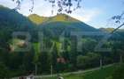 Teren de vanzare, 10.000 mp - Bistrita Bargaului, zona turis - 3