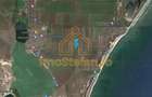 Teren agricol de 5000 mp, în Corbu - 1