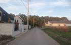 Teren superb situat langa padurea Balotesti,46500 euro - 8