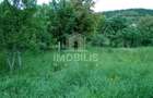 Teren intravilan | Budiu Mic | 994 mp - 1