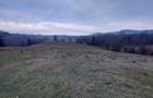 Vindem 53360 mp Bucovina - Vama