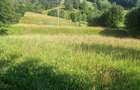 Teren Construcții de 6527 mp, în Slătioara (Stulpicani) - 3
