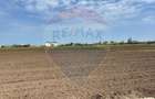 Teren Construcții de 10000 mp, în Nord-Vest - 1