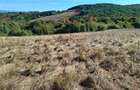 Vand teren extravilan 3,54 hectare - 2