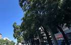 Apartament cu 3 camere în Kiseleff - 2