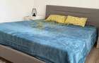 Apartament cu 2 camere decomandat în Tătărași - 9