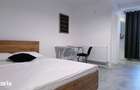 Apartament cu 1 camera de inchiriat Mazepa Rosiori - 16