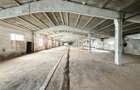 HALE INDUSTRIALE | CLADIRE BIROURI | TEREN 7000 MP | GHEGHIE BIHOR - 7